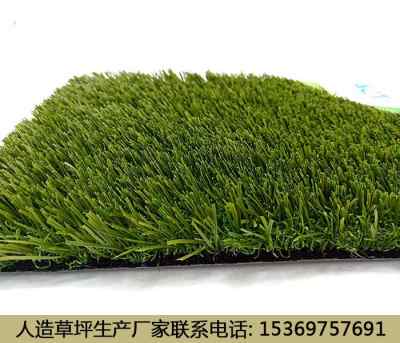 新聞 衢州幼兒園人造草坪鋪設費用